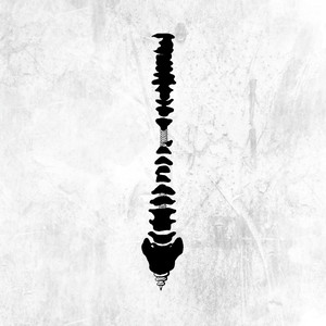 zjzjzjzjzjzjz中国免费
