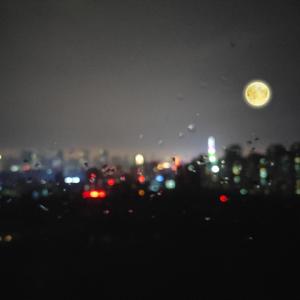 zjzjzjzjzjzjz中国免费
