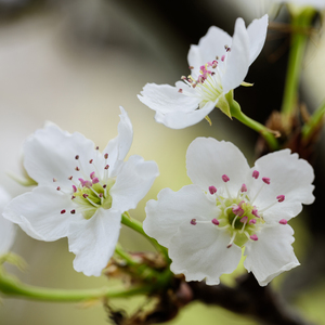 zjzjzjzjzjzjz中国免费
